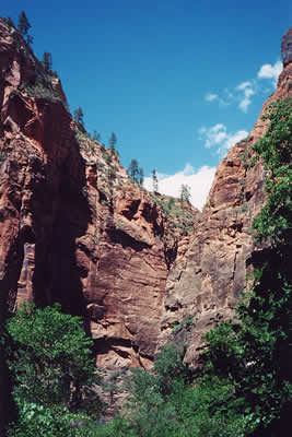 Zion Canyon from the Riverside Walk