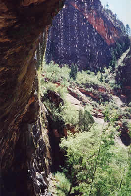 Water from Weeping Rock